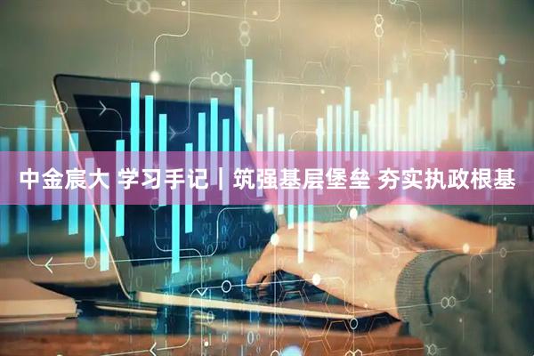 中金宸大 学习手记｜筑强基层堡垒 夯实执政根基
